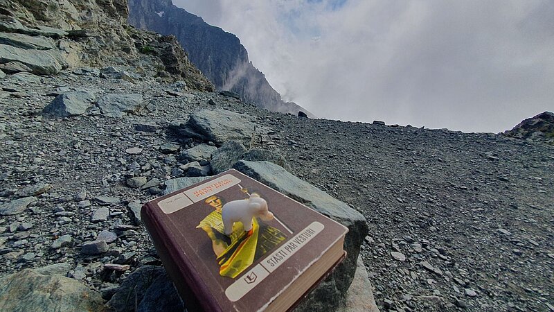 Aicinām uz Herdera lasījumu: Dr. Kārļa Dambīša lekcija par Hannibala šķērsojumu pāri Alpiem