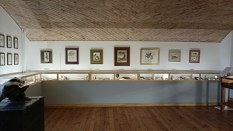 Talsu novada muzejā eksponētas LU Bibliotēkas oriģinālgravīras