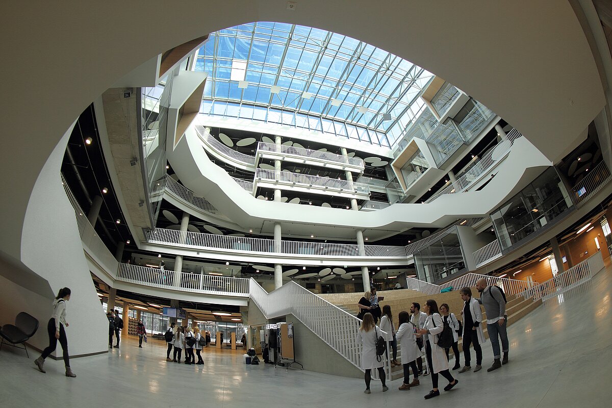 © Foto: Toms Grīnbergs, Latvijas Universitāte.