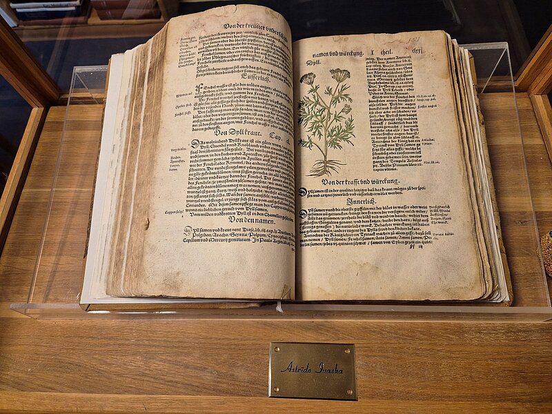 LU bibliotēkas mēneša eksponāts –  renesanses botānikas vēstures grāmata