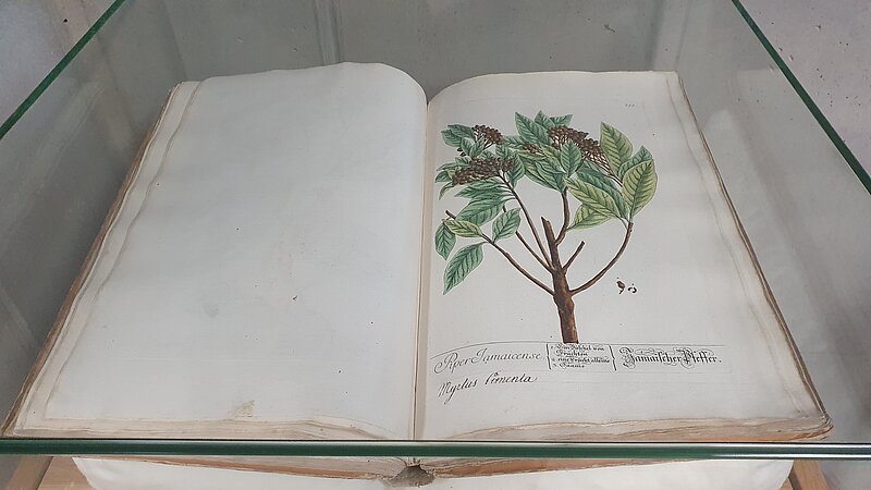 LU Bibliotēkas 18. gadsimta unikālais izdevums “Herbarium Blackwellianum” ekspertu skatījumā